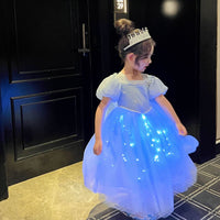 Snow Princess Party Dress - Cinderella